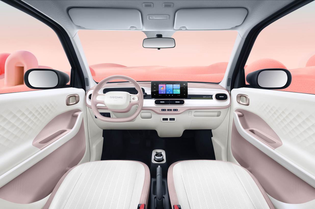 mini(1)